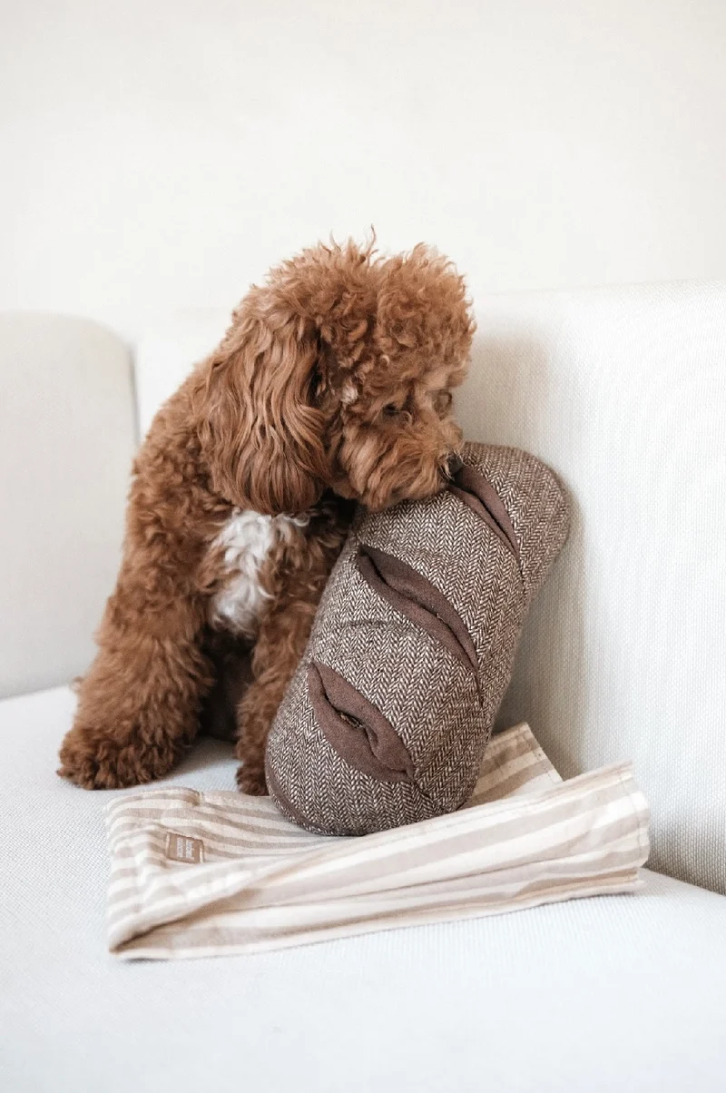 Hundespielzeug Brot