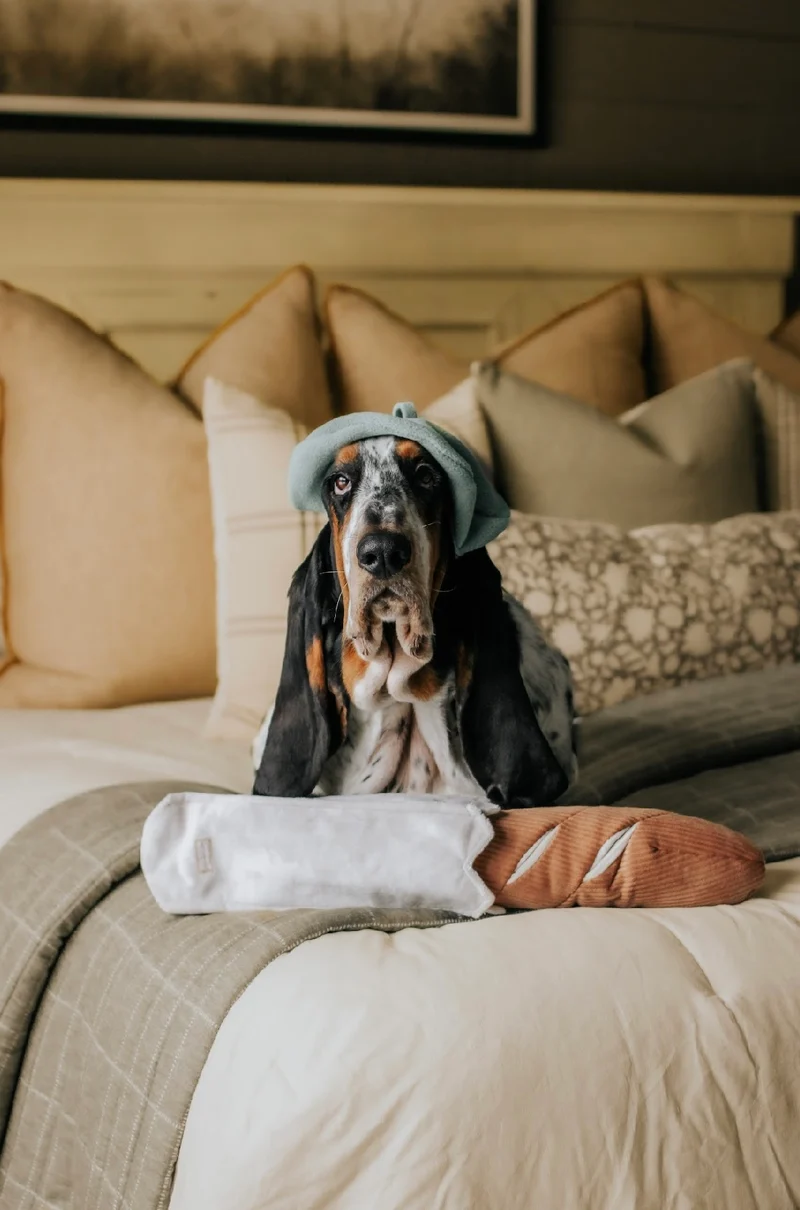 Hundespielzeug Baguette