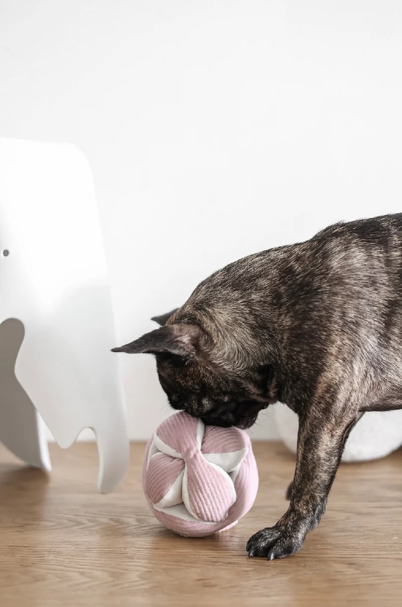 Hundespielzeug Monti