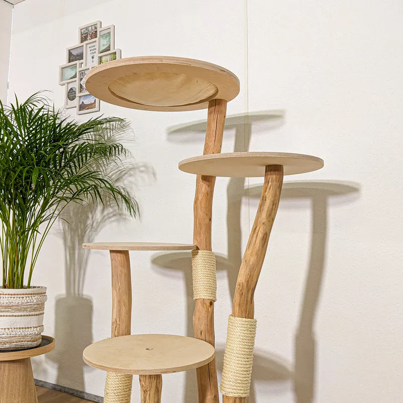 Naturkratzbaum 4252 Kratzbaum Natur Holz Design 145 cm hoch Katzenbaum