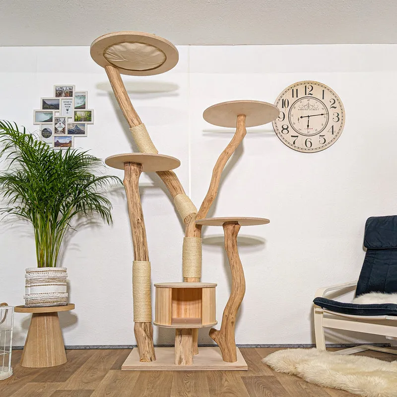 RESERVIERT - Naturkratzbaum 4251 Kratzbaum Natur Holz Design 210 cm hoch Katzenbaum