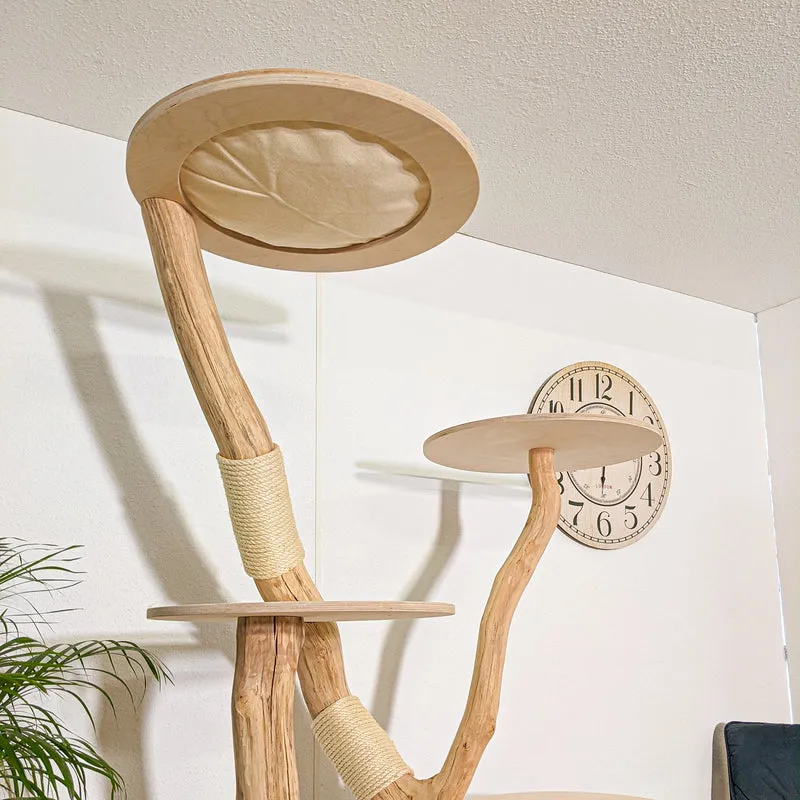 RESERVIERT - Naturkratzbaum 4251 Kratzbaum Natur Holz Design 210 cm hoch Katzenbaum