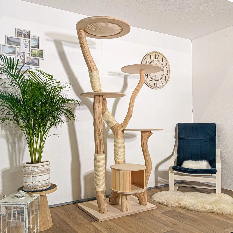 RESERVIERT - Naturkratzbaum 4251 Kratzbaum Natur Holz Design 210 cm hoch Katzenbaum