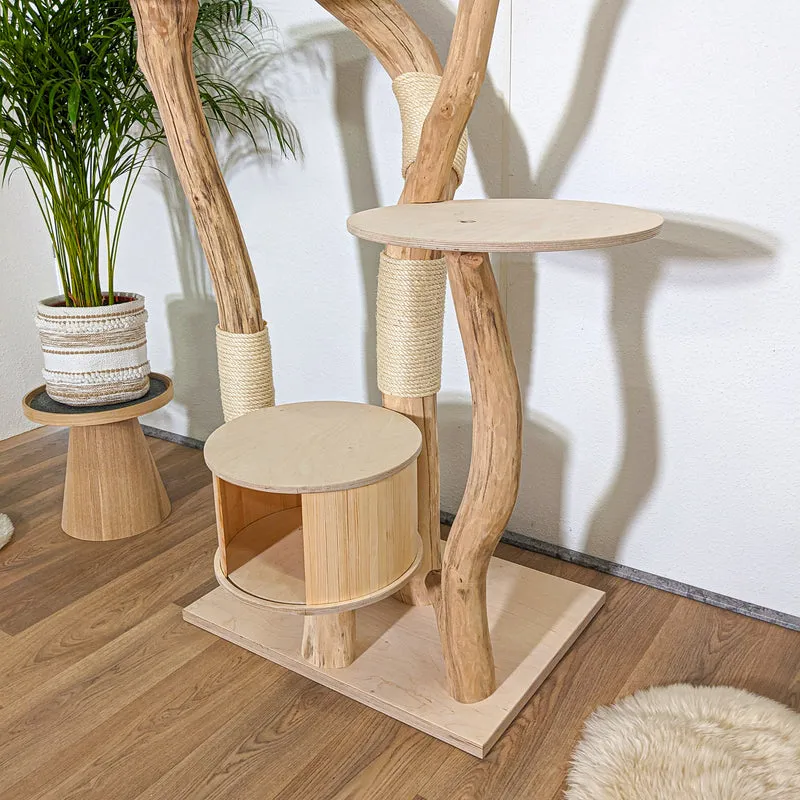 RESERVIERT - Naturkratzbaum 4251 Kratzbaum Natur Holz Design 210 cm hoch Katzenbaum