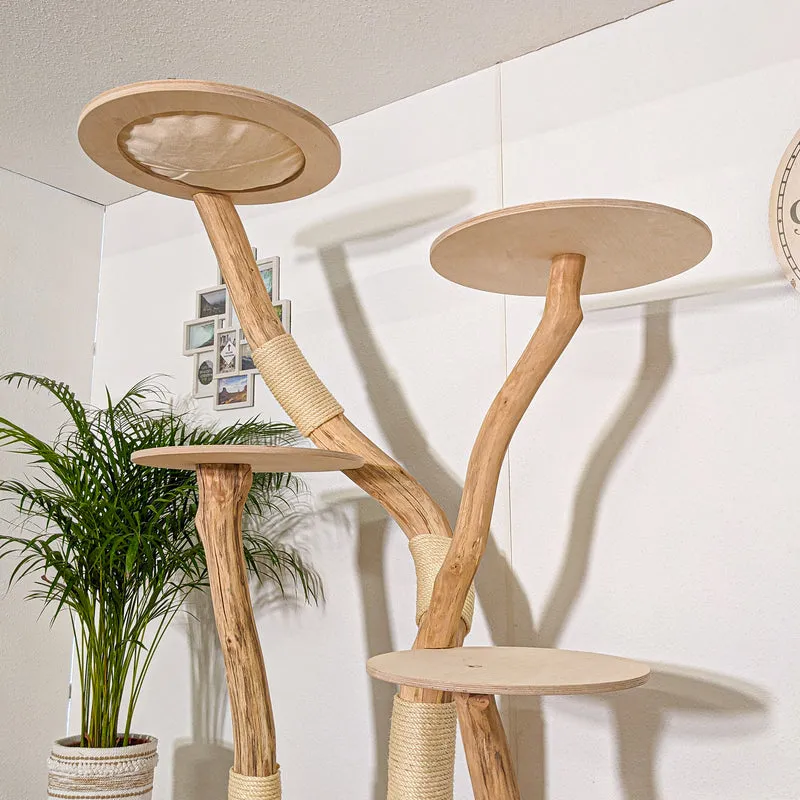 RESERVIERT - Naturkratzbaum 4251 Kratzbaum Natur Holz Design 210 cm hoch Katzenbaum