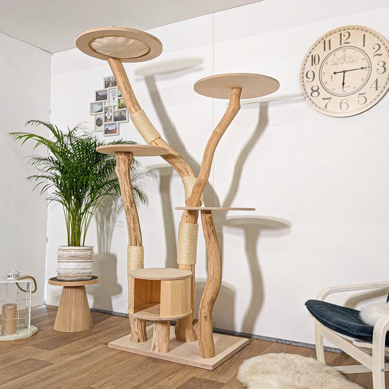 RESERVIERT - Naturkratzbaum 4251 Kratzbaum Natur Holz Design 210 cm hoch Katzenbaum