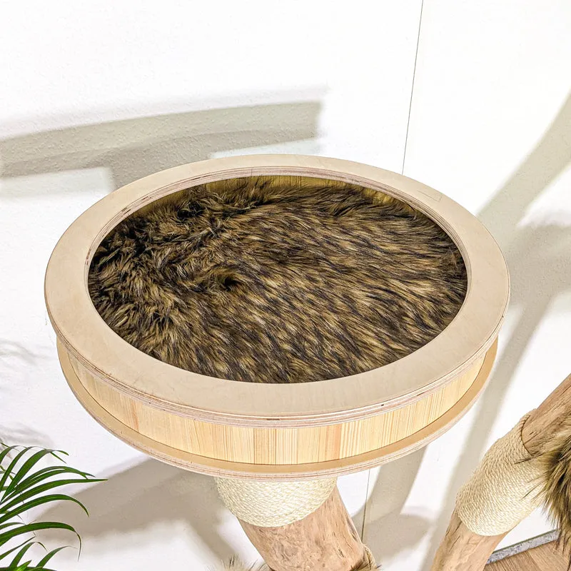 RESERVIERT + ÄNDERUNG Naturkratzbaum 4208 Kratzbaum Natur Holz Design 205 cm hoch Katzenbaum