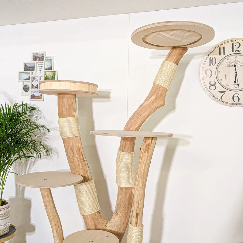 RESERVIERT + ÄNDERUNG Naturkratzbaum 4208 Kratzbaum Natur Holz Design 205 cm hoch Katzenbaum