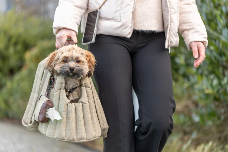 Puffertasche Sophie Katzen- und Hundetragetasche mit Kotbeutelspender und Griffen in Lederoptik