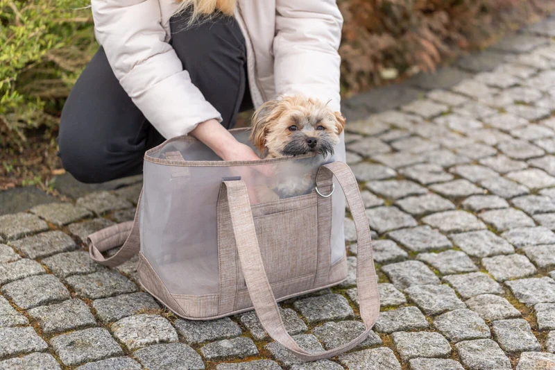 Luftdurchlässige Hundetragetasche Mary aus weißem Mesh-Gewebe und sandfarbenem Stoff