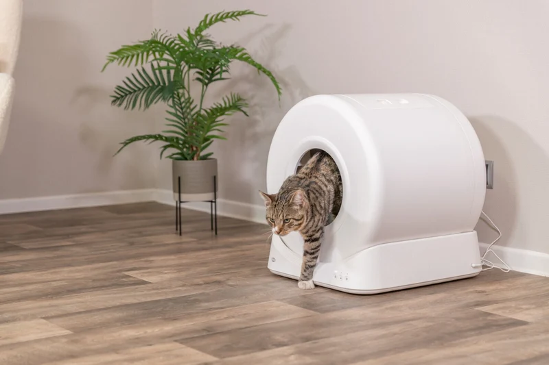 Smarte Katzentoilette