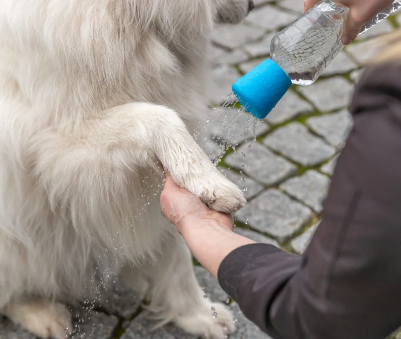 Mobile Hundedusche