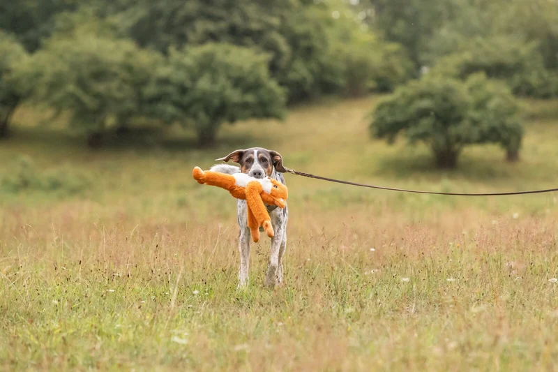 Hundespielzeug Plüschfuchs, geräuschlos