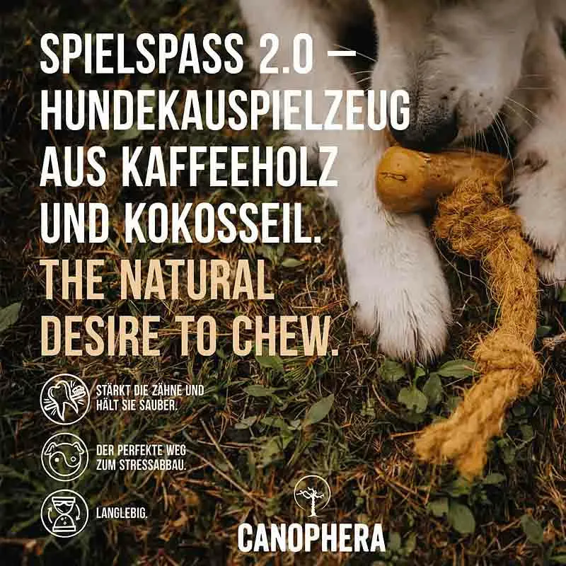 Hundekauspielzeug aus Kaffeeholz und Kokosseil