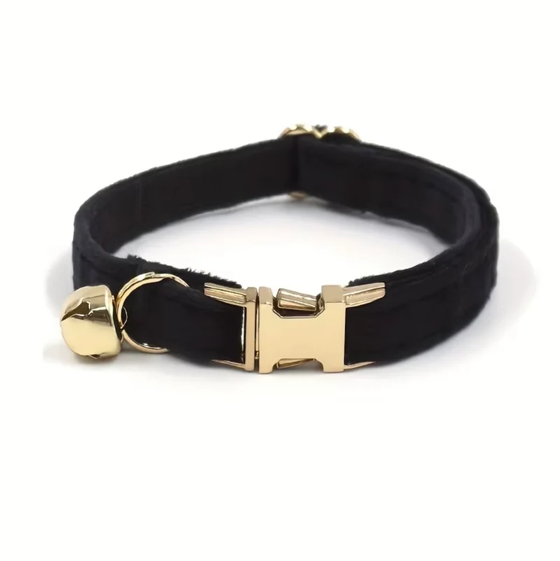 Katzenhalsband schwarz