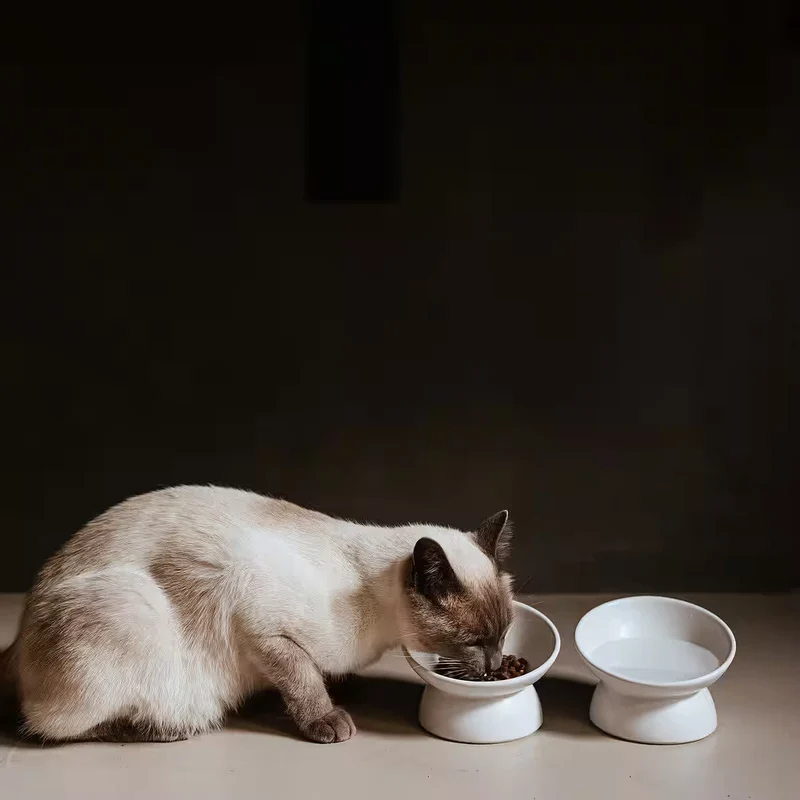 Keramik-Katzennapf