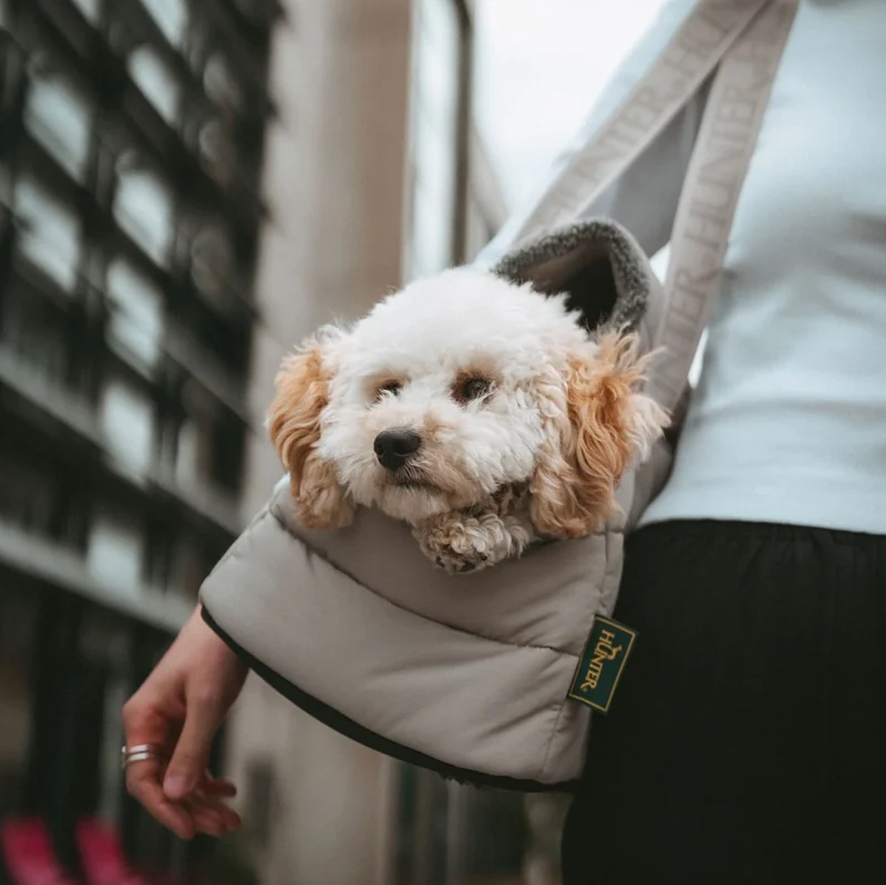 2-in-1 Hunde-Tragetasche und Decke greige