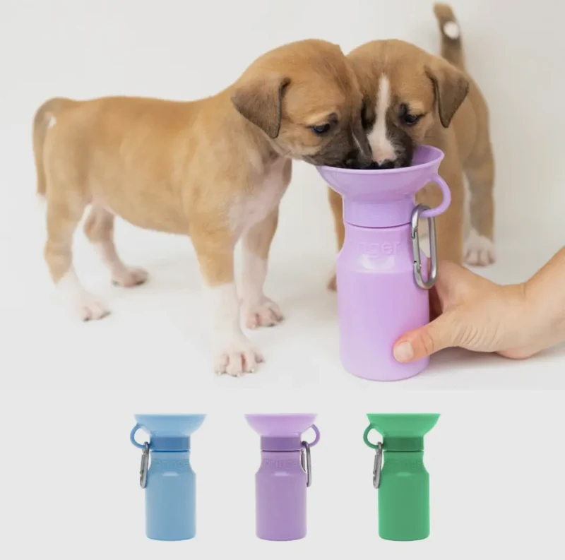 Hundewasserflasche Klein
