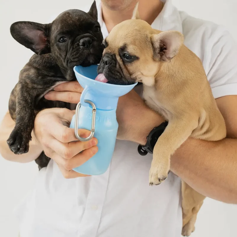 Hundewasserflasche Klein