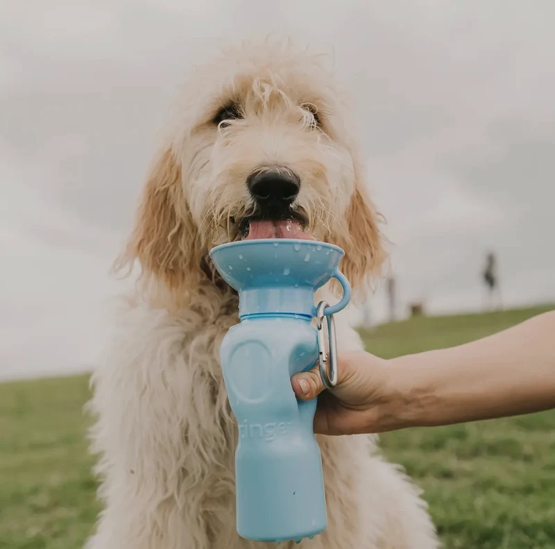 Hundewasserflasche Groß