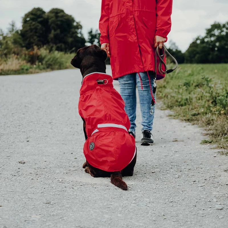 Hunde-Regenmantel Uppsala Rain