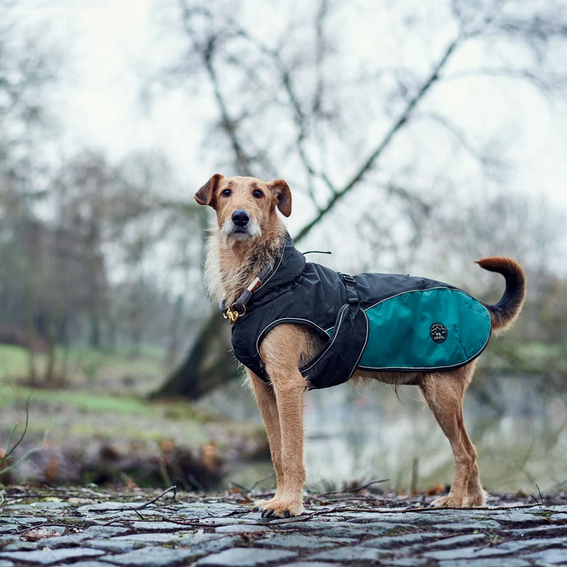 Hundemantel Uppsala Allrounder