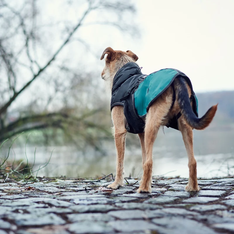 Hundemantel Uppsala Allrounder