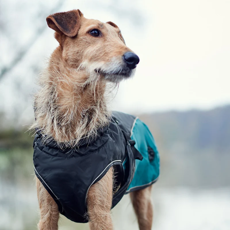 Hundemantel Uppsala Allrounder