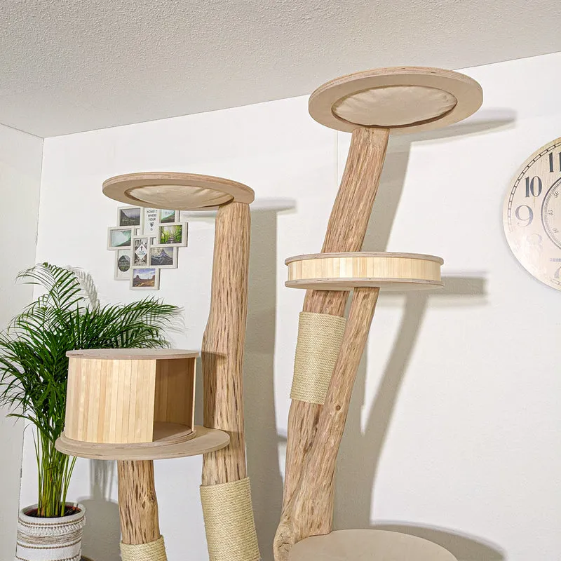 Naturkratzbaum 4184 Kratzbaum Natur Holz Design 220 cm hoch Katzenbaum