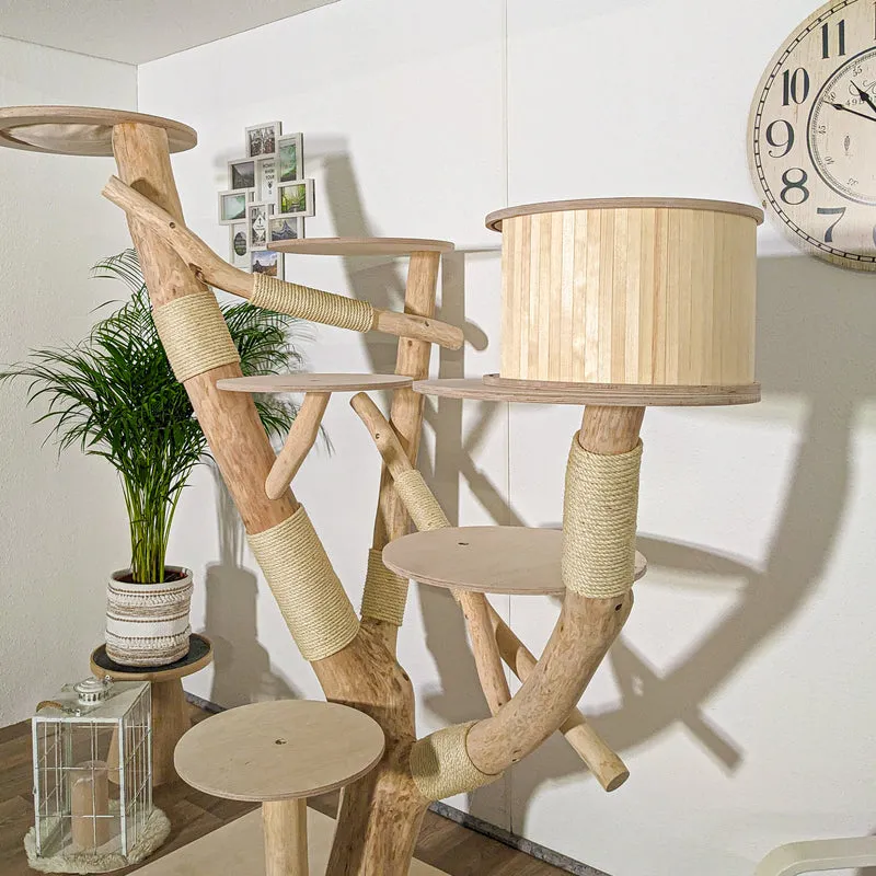 Naturkratzbaum 4181 Kratzbaum Natur Holz Design 197 cm hoch Katzenbaum