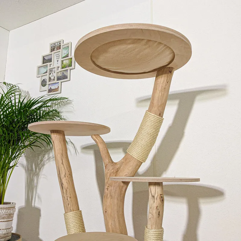 Naturkratzbaum 4179 Kratzbaum Natur Holz Design 145 cm hoch Katzenbaum