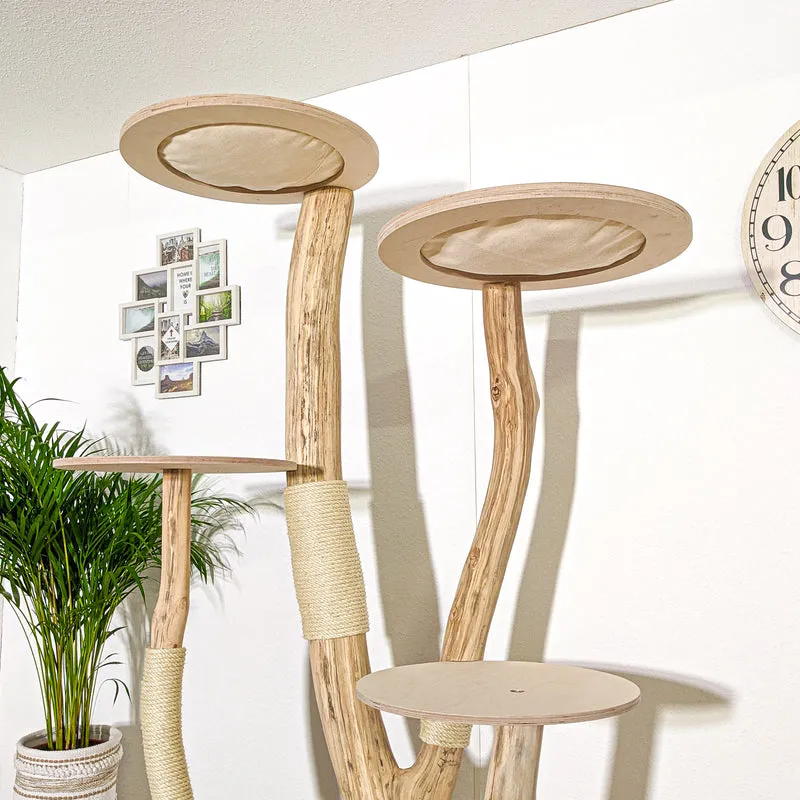 Naturkratzbaum 4168 Kratzbaum Natur Holz Design 206 cm hoch Katzenbaum