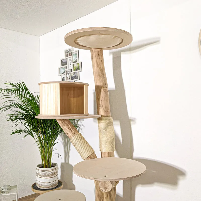 Naturkratzbaum 4163 Kratzbaum Natur Holz Design 193 cm hoch Katzenbaum