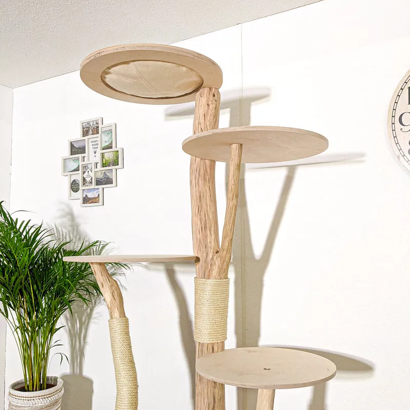 Naturkratzbaum 4160 Kratzbaum Natur Holz Design 205 cm hoch Katzenbaum