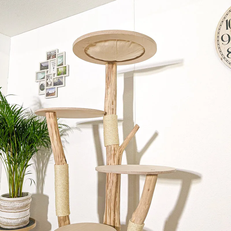 Naturkratzbaum 4159 Kratzbaum Natur Holz Design 175 cm hoch Katzenbaum
