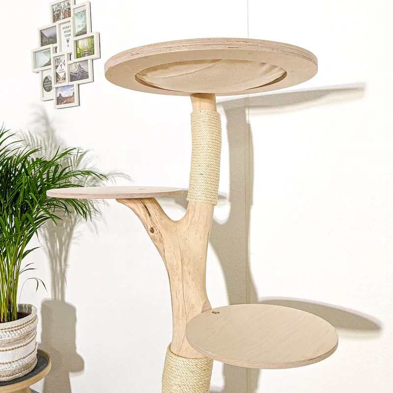 Naturkratzbaum 4158 Kratzbaum Natur Holz Design 156 cm hoch Katzenbaum