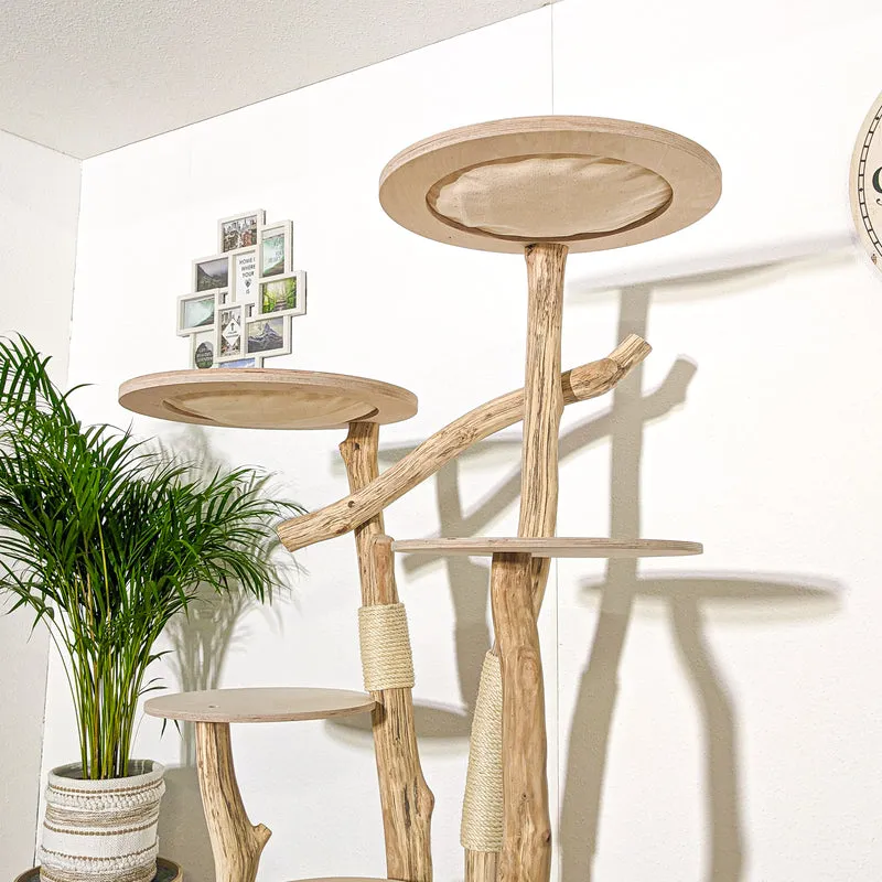 Naturkratzbaum 4156 Kratzbaum Natur Holz Design 175 cm hoch Katzenbaum