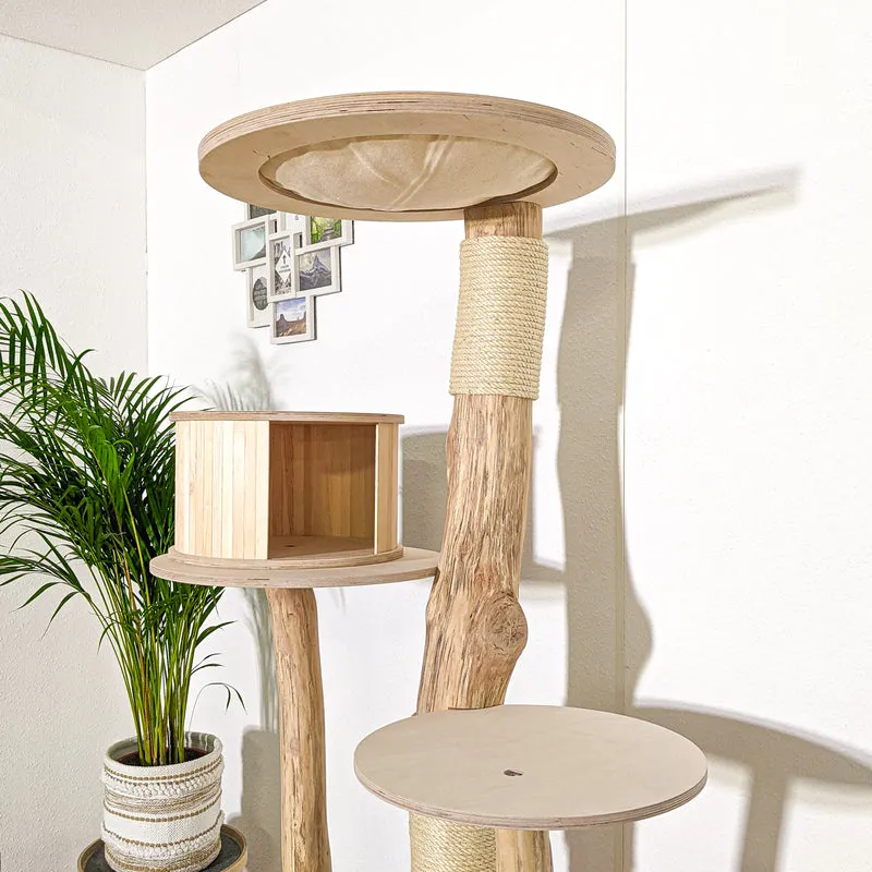 Naturkratzbaum 4155 Kratzbaum Natur Holz Design 175 cm hoch Katzenbaum