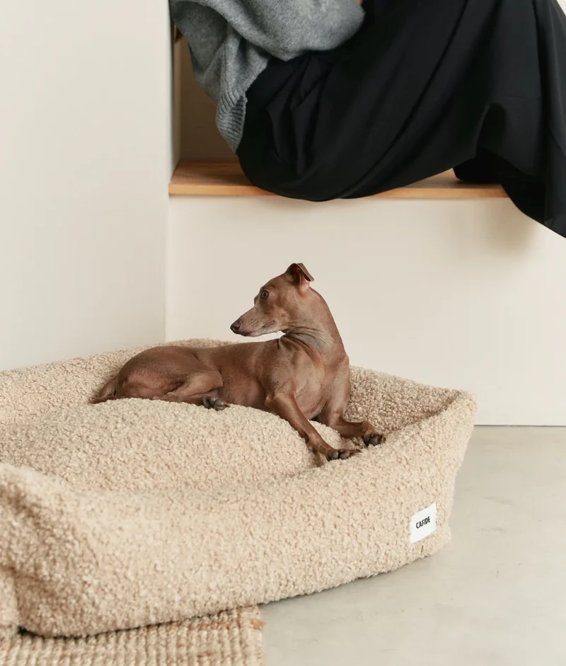 Beiges Teddy Hundebett, Snozy