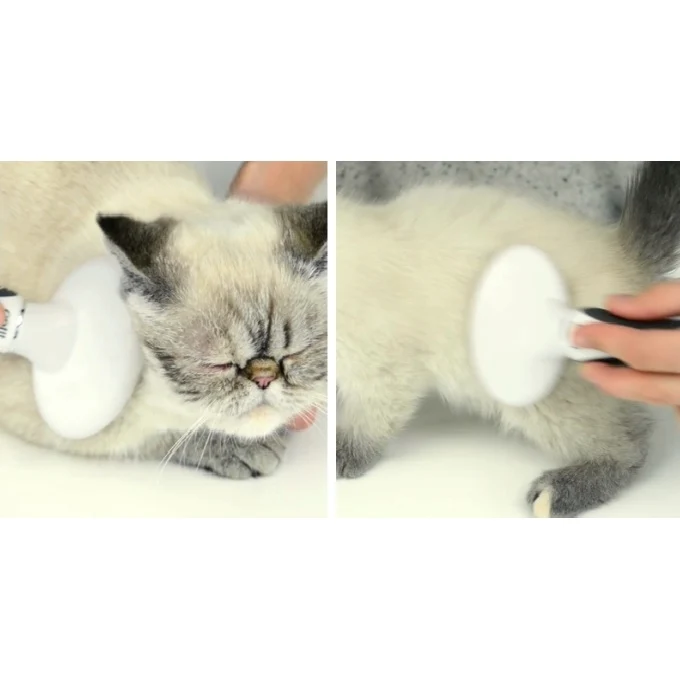Catit Grooming Kit - Bürsten-Set für Katzen