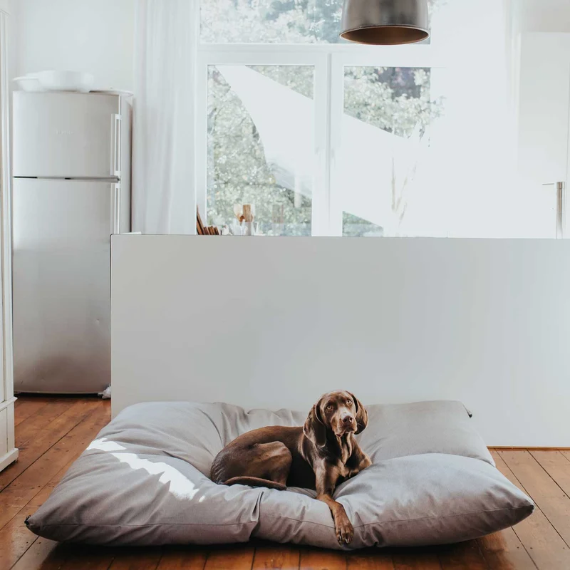 Hundebett Lancaster