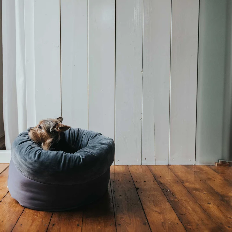 Hundebett Donut Miranda