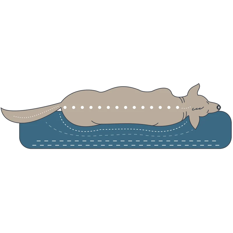 Orthopädisches/Ergonomisches Hundekissen Merida