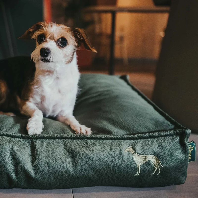 Orthopädisches/Ergonomisches Hundekissen Merida