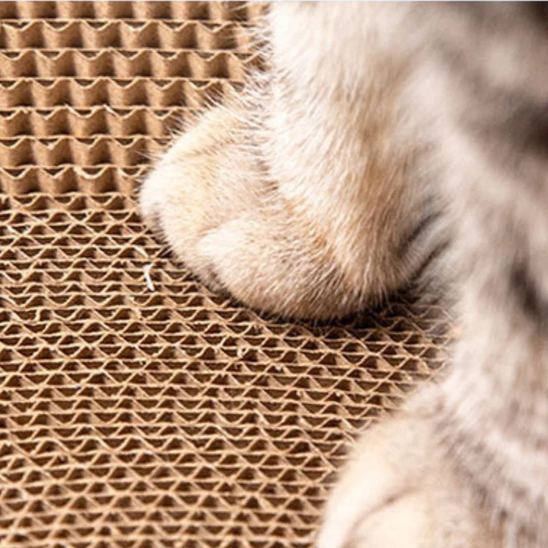Katzen Kratzbrett Pappe, Kätzchen-Schlafnest, Rund und Oval, Katzenspielzeug aus Wellpappe, hellem Grün