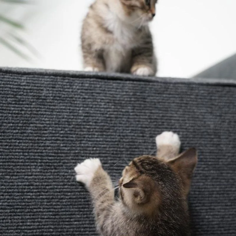Kratzteppich Katze, Langlebiger und strapazierfähiger Kratzwand Katze, einfach zuschneidbar, Grau