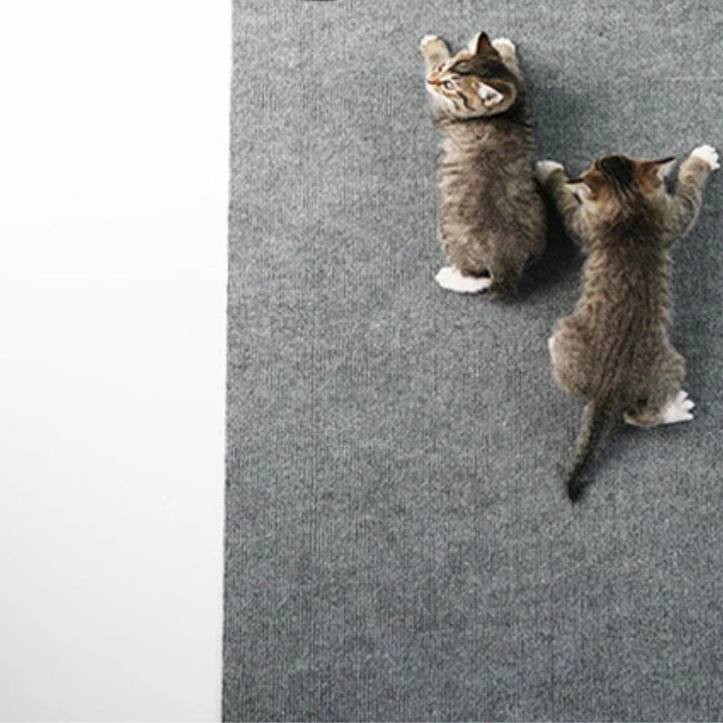 Kratzteppich Katze, Langlebiger und strapazierfähiger Kratzwand Katze, einfach zuschneidbar, Grau