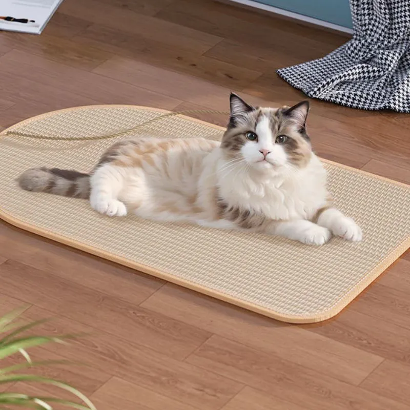 Katzen Kratzteppich, Kratzmatte aus Sisal, mit interaktives Ballspielzeug für Katzen, Kratzschutz für Möbel