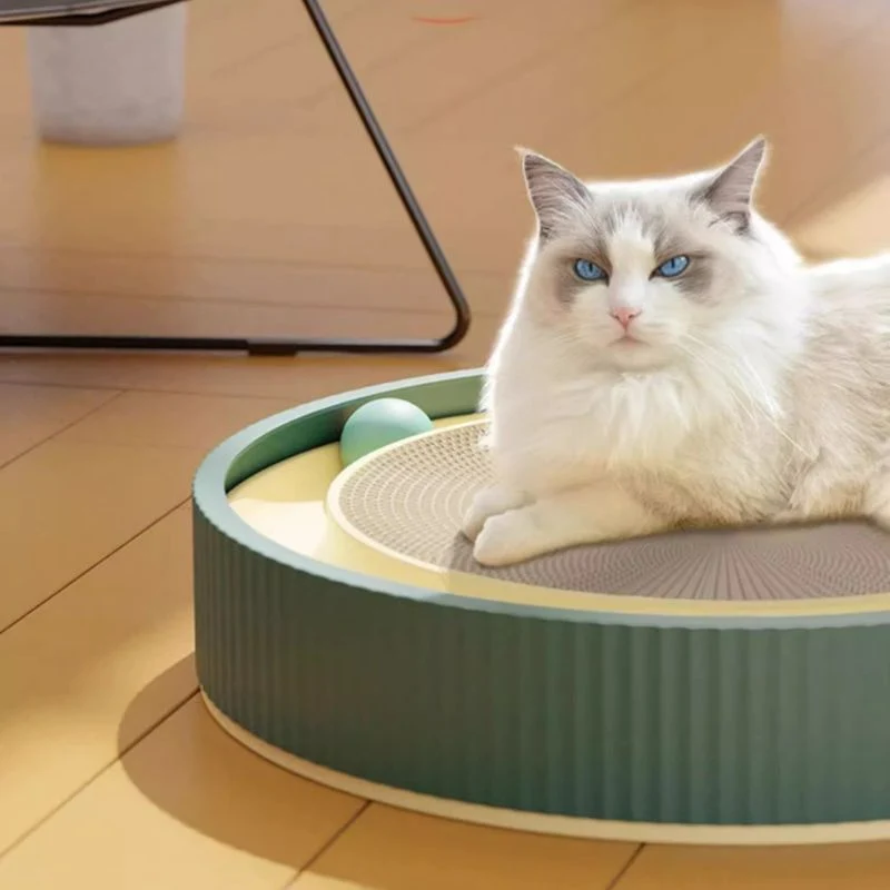 Katzen Kratzpappe, Runde Kratzplatte Mit Interaktives Katzen Spielzeug, Durchmesser 45 cm, Verfügbar in Grün, Weiß und Blau