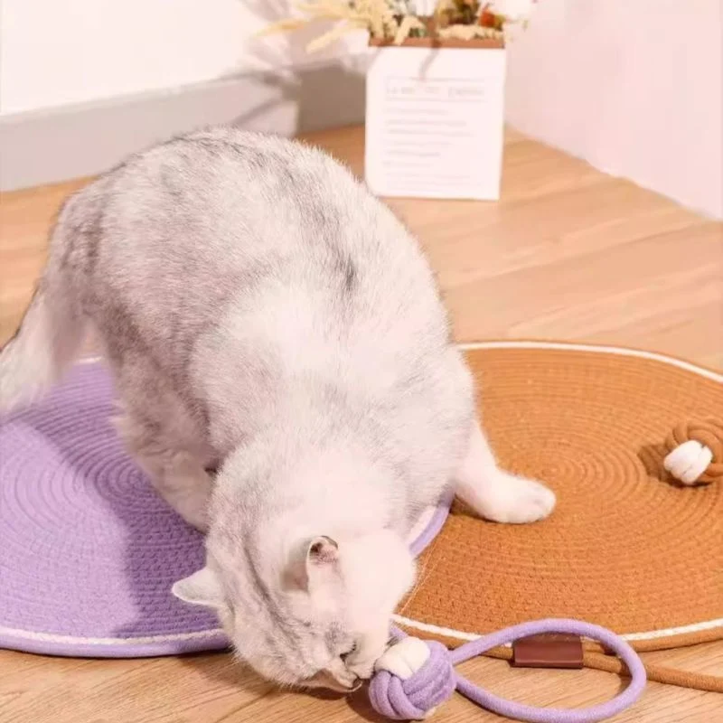 Kratzbrett Katzenform, Schlafmatte für Katzen, Langlebiges Katzenspielzeug, Braun oder Lila